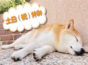 クリーンルームでの製品の検査／土日祝日休み