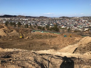 伐採工事施工管理者