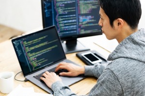 プログラミング運用／技人国の求人