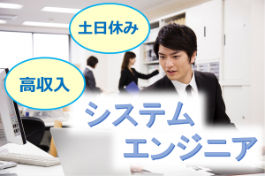 システムエンジニア／技人国の求人