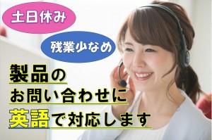IT製品の英語問合せ対応／技人国の求人