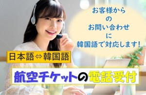 航空チケットの韓国語受付／技人国の求人