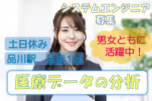 医療データのシステム保守／技人国の求人