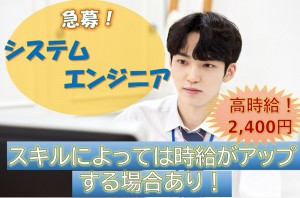 ソフトウェアの検証／技人国の求人
