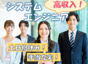 システムの保守開発／技人国の求人