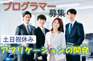 アプリケーションの開発／技人国の求人
