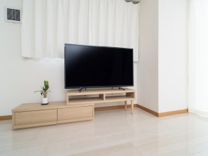 製造工程情報システムの企画開発／技人国の求人