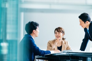 WEBシステムの開発