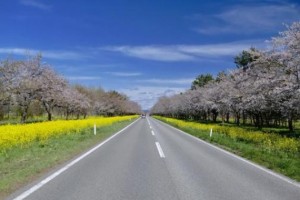 旅行気分で中型トラックドライバー/台車で軽々と放送機材の積降し