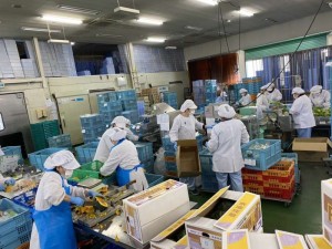 [正]惣菜(夕食宅配材料)の配達案内/管理職向け_葛原я