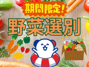 選果場で野菜の仕分け・選別