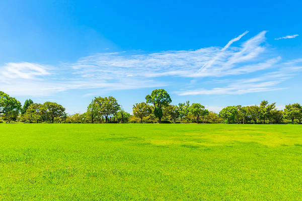 自然の風景イメージ写真