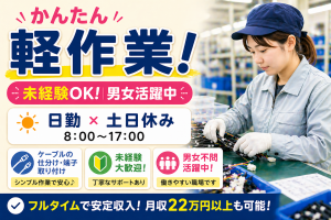 【寮完備】軽量ケーブルハーネスの仕分け・組立／日勤