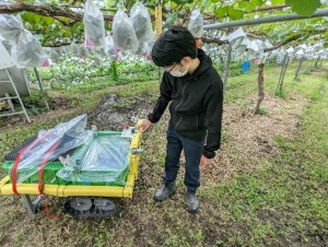 SE（組込エンジニア）