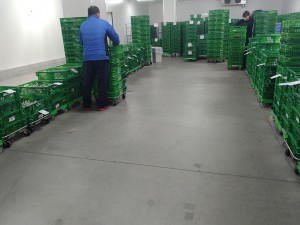 倉庫内作業スタッフ／入社特典／賞与年2回／月給27万円～