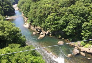 ホテルでの洗い場スタッフ募集