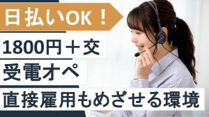 有名輸入車に関するテレフォンオペレーター