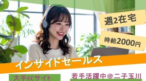 週2在宅／大手ネットショップの掲載店舗へ売上増加の施策提案