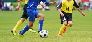 プロサッカーチーム食堂の調理補助（夕～夜）