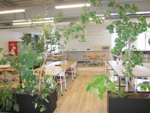 日勤作業リフトスタッフ