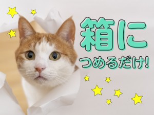 冷凍海産物パックのピッキング作業／23：00～