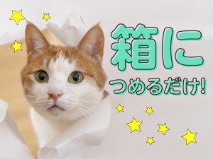 商品のピッキング・箱詰め作業
