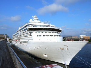 4/15単発ドイツ語！クルーズ乗船客誘導成田空港他◎