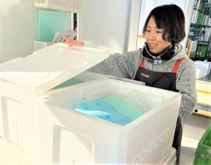 固定ルートでお弁当配送／土日休み／週2日～OK