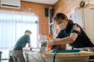 看護職員／実務経験不問／同行研修あり／日曜定休日／日曜定休日